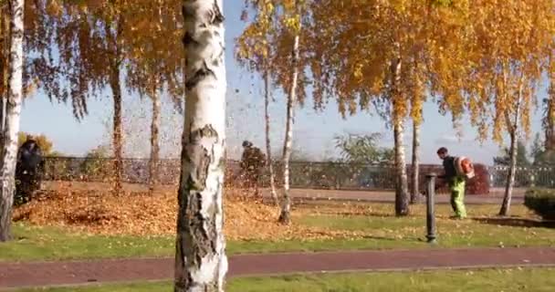 7 november 2021 Mezhyhirya Nationaal Park. : Tuiniers blazen herfstbladeren op in het park — Stockvideo