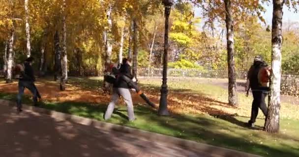 7 de noviembre de 2021 Parque Nacional Mezhyhirya. : Los jardineros soplan hojas de otoño en el parque — Vídeo de stock