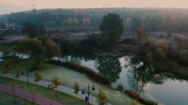 Bir yük treni ormanda yüksek hızda hareket ediyor. Hava görünümü.
