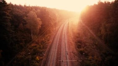 Şafak vakti kozalaklı bir ormanda tren yolu. İnsansız hava aracından görüntüle.