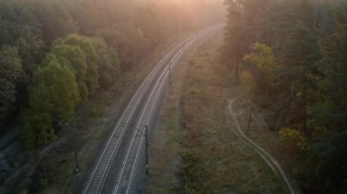 Şafak vakti kozalaklı bir ormanda tren yolu. İnsansız hava aracından görüntüle.