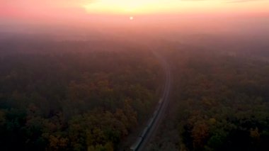 Bir yük treni ormanda yüksek hızda hareket ediyor. Hava görünümü.