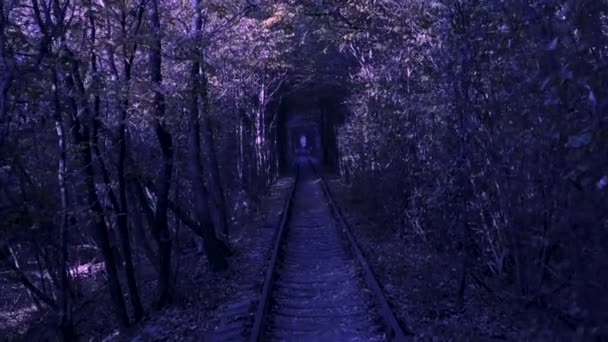 愛のトンネル、鉄道。古い線路は木で覆われていた。ロマンチックな魅力的な場所. — ストック動画