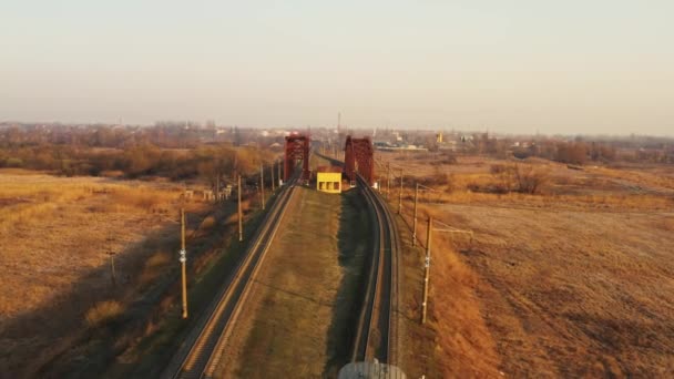 Un tren de carga se mueve a alta velocidad a través del bosque. Vista aérea. — Vídeos de Stock