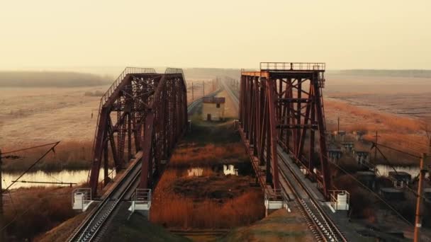 Bir yük treni ormanda yüksek hızda hareket ediyor. Hava görünümü. — Stok video