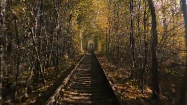 Túnel do amor, caminho de ferro. Velhos rastos cobertos de árvores. Lugar romântico encantador. — Vídeo de Stock
