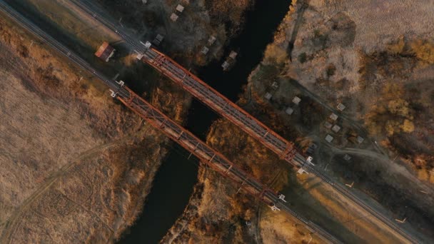 Un tren de carga se mueve a alta velocidad a través del bosque. Vista aérea. — Vídeos de Stock