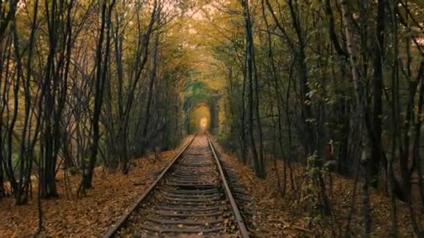 Túnel do amor, caminho de ferro. Velhos rastos cobertos de árvores. Lugar romântico encantador. — Vídeo de Stock