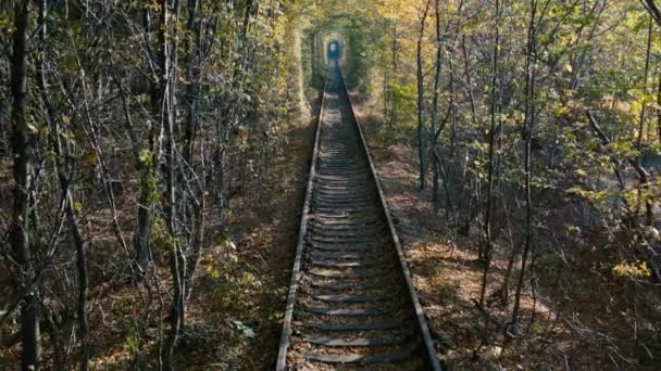 Túnel de amor, ferrocarril. Viejas huellas llenas de árboles. Romántico encantador lugar. — Vídeo de stock