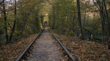 Aşk tüneli, demiryolu. Ağaçlarla kaplı eski izler. Romantik büyüleyici bir yer..