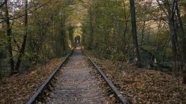 Szerelem alagútja, vasút. Régi nyomok, amik tele vannak fákkal. Romantikus hangulatú hely. — Stock videók