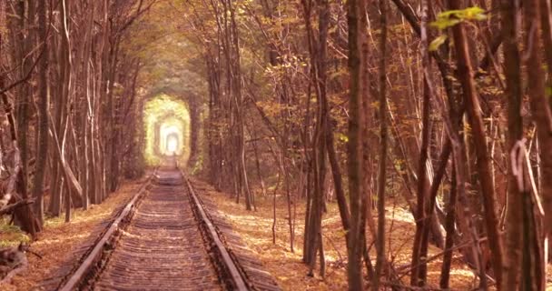 Tunnel van de liefde, spoorweg Romantische charmante plek — Stockvideo