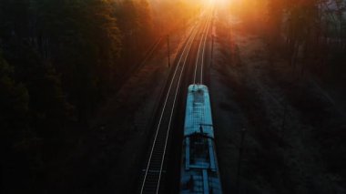 Bir yük treni ormanda yüksek hızda hareket ediyor. Hava görünümü.