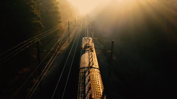 Bir yük treni ormanda yüksek hızda hareket ediyor. Hava görünümü. — Stok video
