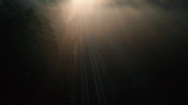 Bir yük treni ormanda yüksek hızda hareket ediyor. Hava görünümü.