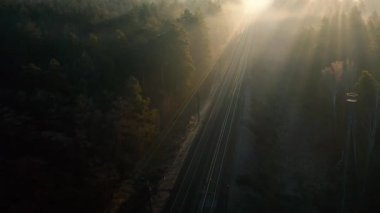 Şafak vakti kozalaklı bir ormanda tren yolu. İnsansız hava aracından görüntüle.
