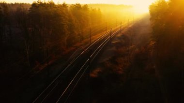 Şafak vakti kozalaklı bir ormanda tren yolu. İnsansız hava aracından görüntüle.