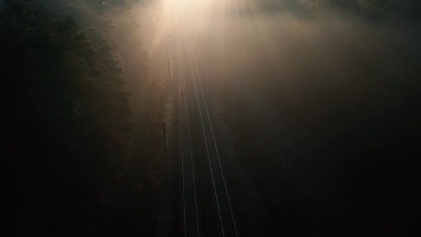 Um trem de carga está se movendo em alta velocidade através da floresta. Vista aérea. — Vídeo de Stock