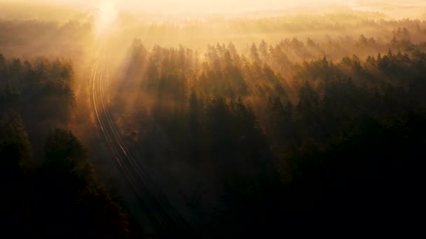 Σιδηροδρομικές γραμμές σε κωνοφόρα δάση την αυγή. Θέα από το drone. — Αρχείο Βίντεο