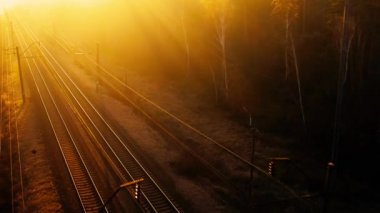 Şafak vakti kozalaklı bir ormanda tren yolu. İnsansız hava aracından görüntüle.