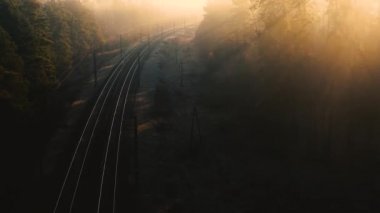 Şafak vakti kozalaklı bir ormanda tren yolu. İnsansız hava aracından görüntüle.