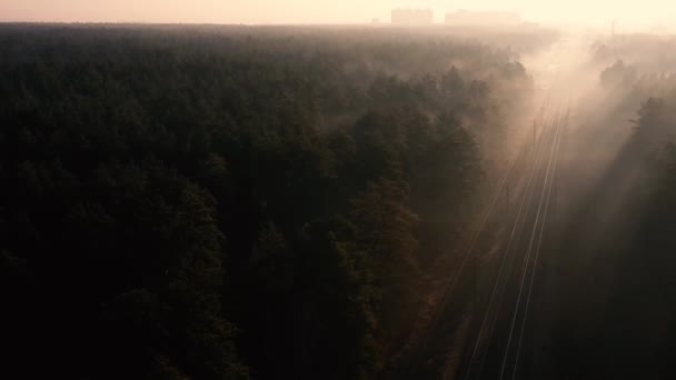 Železniční trať v jehličnatém lese za úsvitu. Pohled z dronu. — Stock video