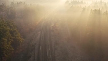 Şafak vakti kozalaklı bir ormanda tren yolu. İnsansız hava aracından görüntüle.