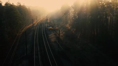 Şafak vakti kozalaklı bir ormanda tren yolu. İnsansız hava aracından görüntüle.