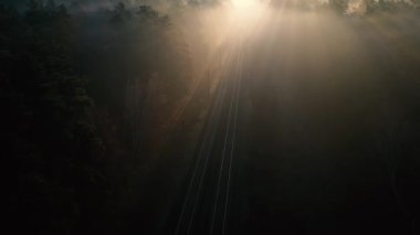 Şafak vakti kozalaklı bir ormanda tren yolu. İnsansız hava aracından görüntüle.
