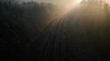 Şafak vakti kozalaklı bir ormanda tren yolu. İnsansız hava aracından görüntüle.