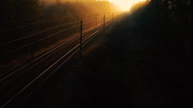 Şafak vakti kozalaklı bir ormanda tren yolu. İnsansız hava aracından görüntüle.