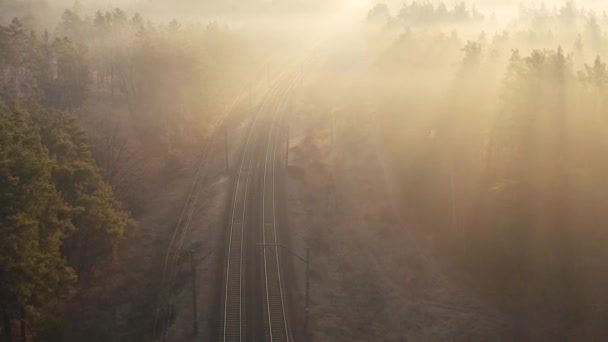 夜明けに針葉樹林の鉄道線路。ドローンからの眺め. — ストック動画
