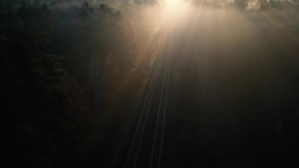 Залізнична колія в хвойному лісі на світанку. Вид з дрона . — стокове відео
