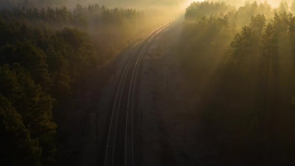 Caminho de ferro numa floresta de coníferas ao amanhecer. Vista do drone. — Vídeo de Stock