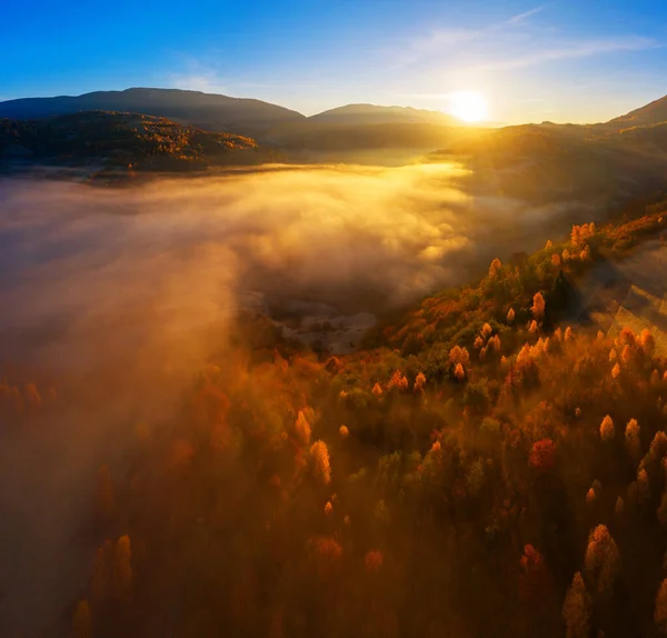 Чудесный Осенний Пейзаж Горах Рассвете Вид Осенний Лес Низкие Облака — стоковое фото