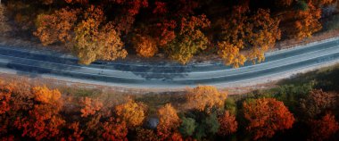 Muhteşem sonbahar manzarası. Orman insansız hava aracı manzaralı Paved yolu.