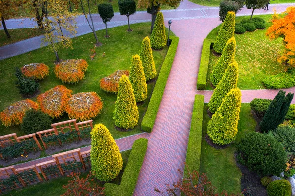 공원의 길 근처에 있는 투자, 박 엽수 및 장식용 화초들. — 스톡 사진