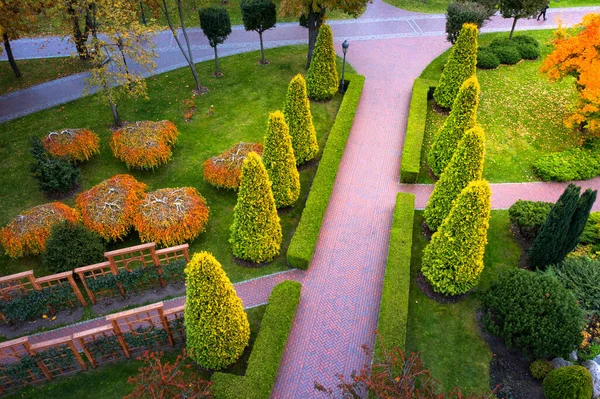 Thuja, buxo e plantas ornamentais perto do caminho no parque. — Fotografia de Stock