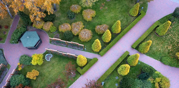 공원의 길 근처에 있는 투자, 박 엽수 및 장식용 화초들. — 스톡 사진