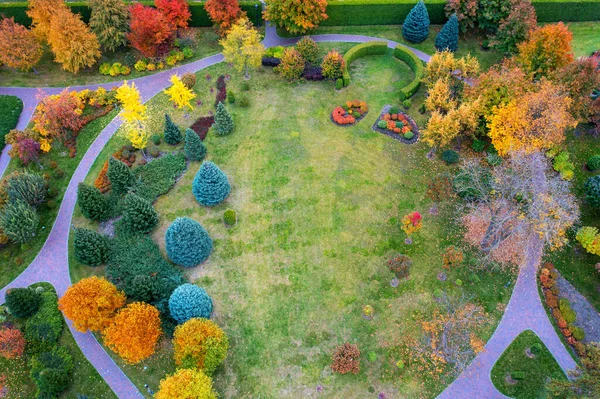 秋天在法国花园。观赏植物景观设计. — 图库照片