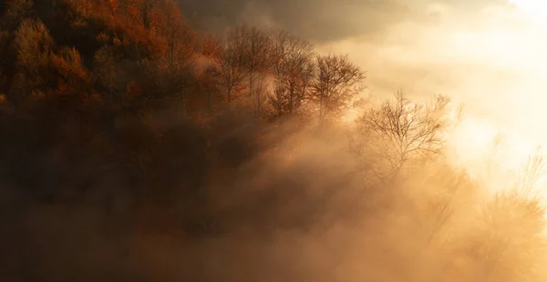 Herbstwald im Morgengrauen an einem Berghang. Lange Schatten von den Bäumen. — Stockfoto