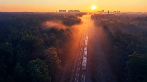 Вантажний поїзд подорожує туманним лісом . — стокове фото