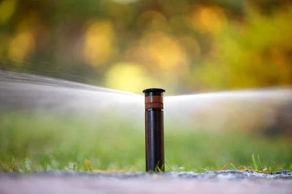 Nozzle automatic lawn watering macro close up — Stock Photo, Image