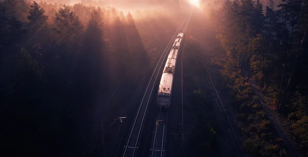 Вантажний поїзд подорожує туманним лісом . — стокове фото