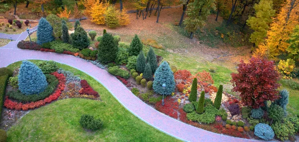 秋天植物园里多彩的小巷 种类繁多的针叶树和落叶植物 景观美化 无人机视图 — 图库照片