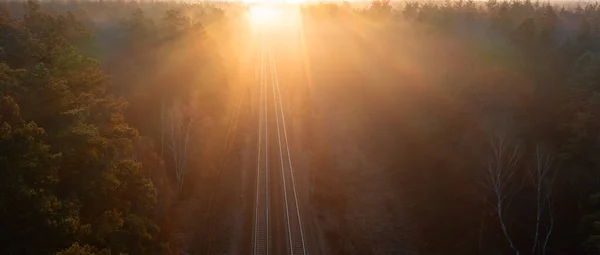 Ferrovia Atravessa Floresta Pistas Vazias Pôr Sol Amanhecer — Fotografia de Stock