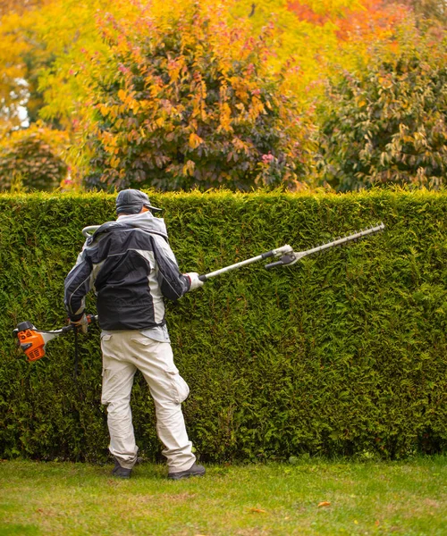 Jardineiro Profissional Cuida Jardim Topiário — Fotografia de Stock