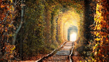 Ormandaki demiryolu. Demiryolunun üzerindeki ağaç tüneli. Birbirine aşık çiftler için en sevdiği yer. Sonbahar manzarası.