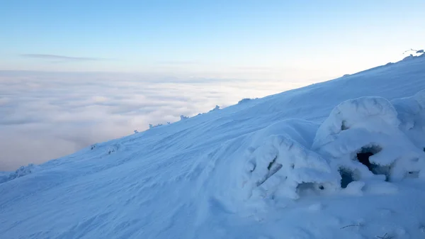 Inverno Paisagem Montanhosa Totalmente Coberto Com Árvore Neve Topo Montanha — Fotografia de Stock