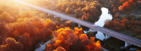 Wonderful Autumn Morning Landscape Road Bridge River Yellow Deciduous Forest — Stock Photo, Image